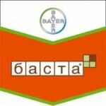 Баста, в.р
